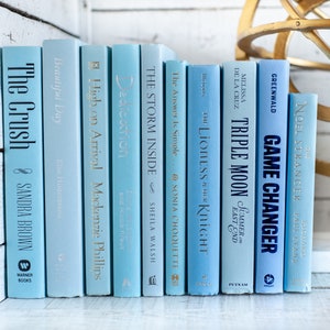 Blue Books, Light Blue Book Stack, Coastal Home Decor, Beachy Interior Decorating Home Staging Books, Books by Color, Beach House Decor image 1