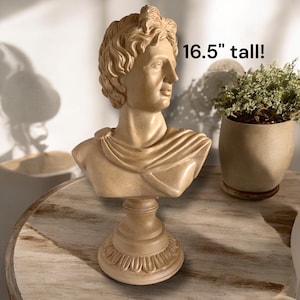 Vintage Apollo Bust Statue, Apollo Belvedere Bust, Classical Roman Greek Statue, Tall Beige Sculpture, Antique Style Decor for Home Library