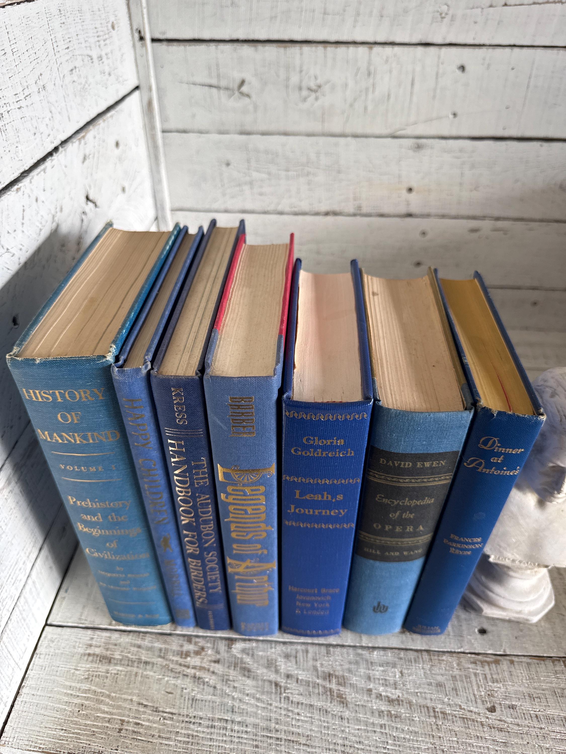 Vintage Blue & Gold Book Set: Decorative Bookshelf Decor, Set of 7