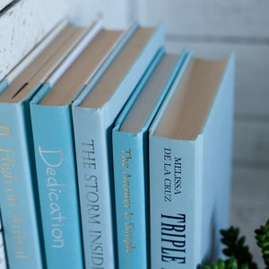 Blue Books, Light Blue Book Stack, Coastal Home Decor, Beachy Interior Decorating Home Staging Books, Books by Color, Beach House Decor image 4