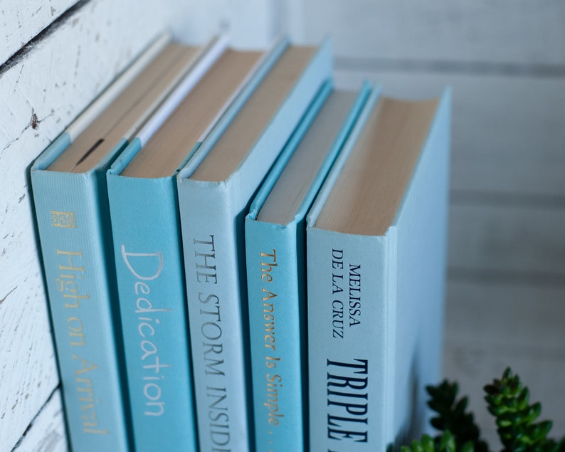 Blue Books, Light Blue Book Stack, Coastal Home Decor, Beachy Interior Decorating Home Staging Books, Books by Color, Beach House Decor image 4