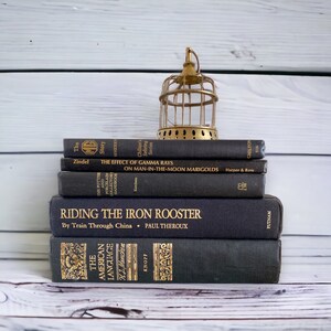 Black and Gold Decorative Books Perfect for Bookshelf Décor 