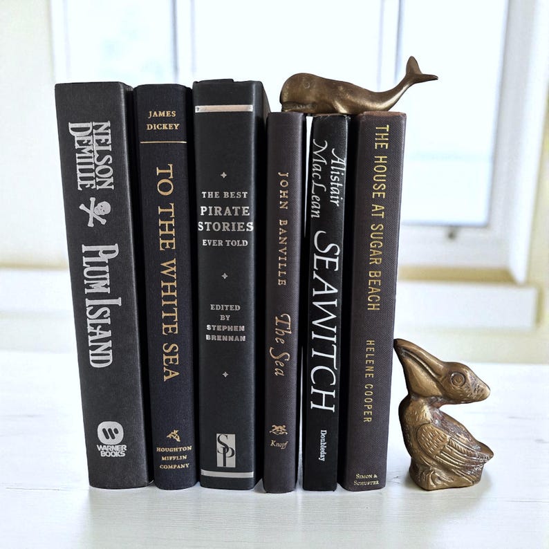 Pu&ograve; includere: Una collezione di libri neri con scritte dorate, tra cui titoli come "Plum Island" e "Sea Witch". Fermalibri in ottone a forma di balena e uccello sono posizionati tra i libri, creando un'esposizione decorativa. I libri sono disposti su una superficie bianca.