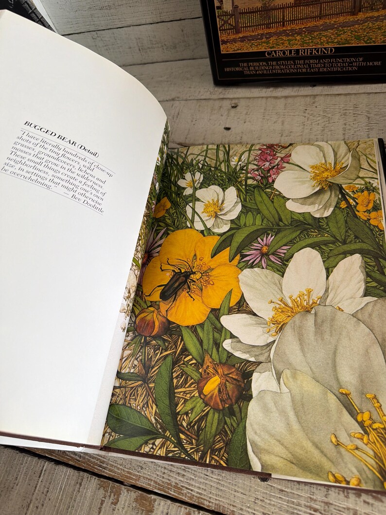 May include: An open book page featuring a botanical illustration of white and yellow flowers with green leaves and a black beetle. The left page contains text titled BUGGED BEAR (Detail) with a quote by Bev Doolittle about nature photography.