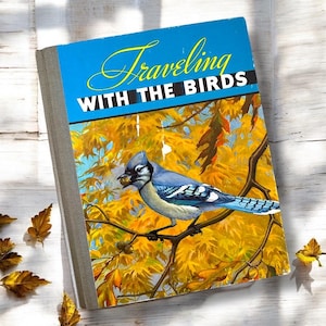 Vintage 1933 Bird Book, Traveling with the Birds by Rudyerd Boulton, Antique Book on Bird Migration, Shabby Rustic Bird Decoration