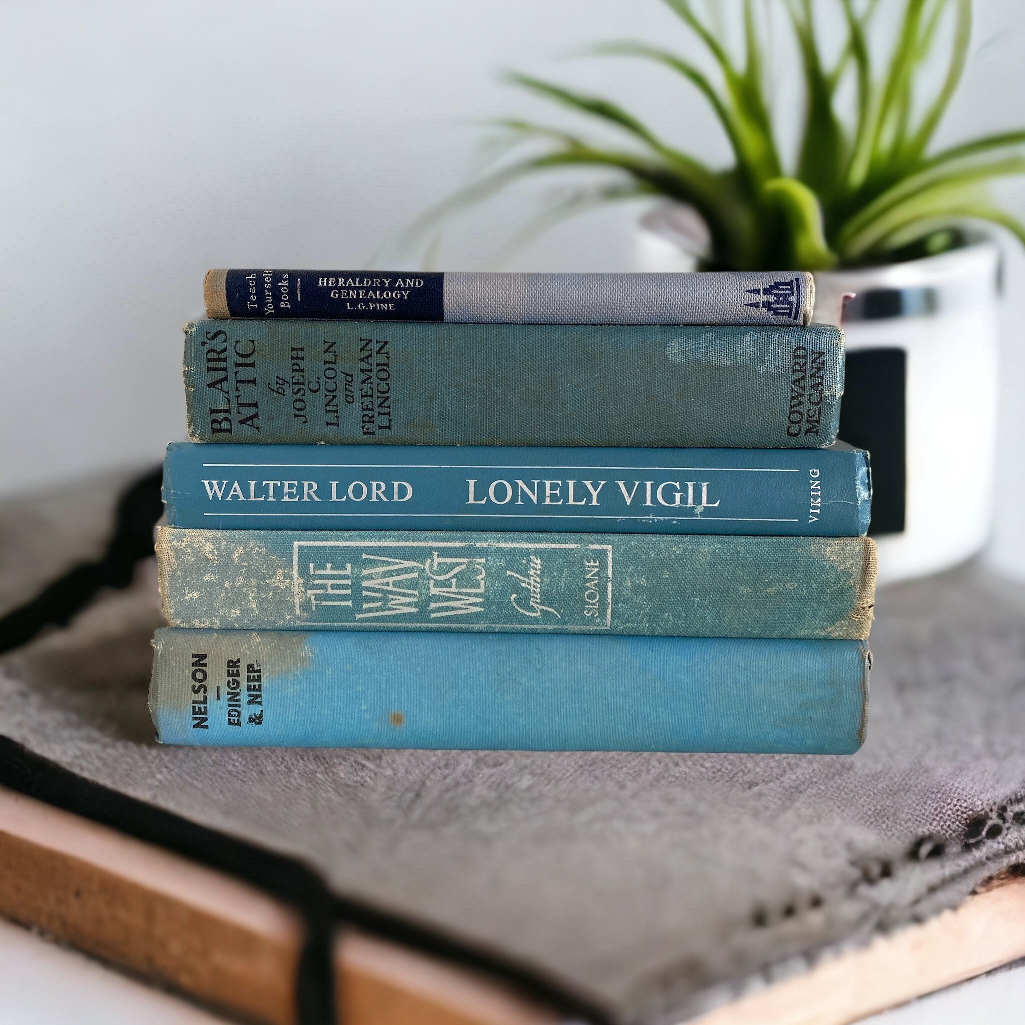 Vintage Blue Book Stack: Shabby Chic Decor