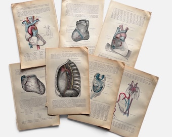 May include: A collection of six vintage book pages featuring detailed anatomical illustrations of the human heart and thoracic cavity. Each page displays aged, off-white paper with printed text and colored diagrams showing various cardiac structures.