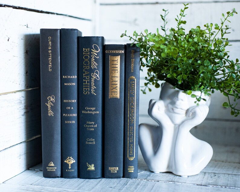 Black Book Stack: Modern Home Decor Books by Color image 3