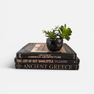 Black Coffee Table Books, Large Decorator Books Stack of 3, Art History and Architecture Collection