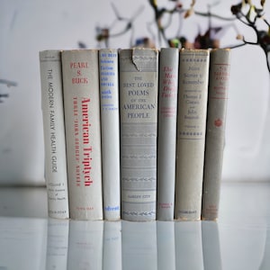 Vintage grijze boeken, armoedige grijze binnenhuisarchitect boekenstapelcollectie, grijze boekenplank of plankdecor, home enscenering boeken, boeken op kleur