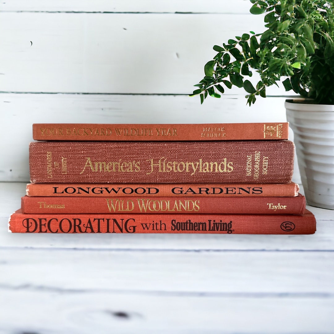 Rusty Books Stack Vintage Terra Cotta Books Stack, Large Books in Terracotta, Rust Orange ...