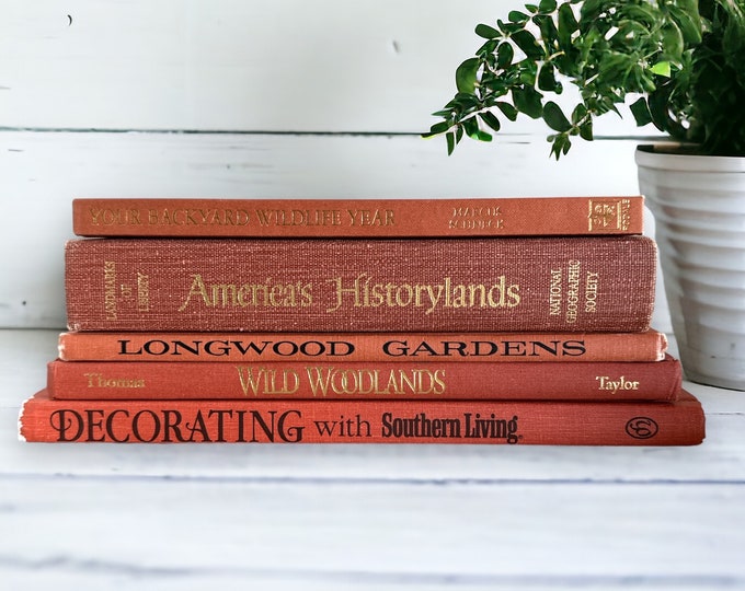 Vintage Terra Cotta Books Stack, Large Books in Terracotta, Rust Orange ...