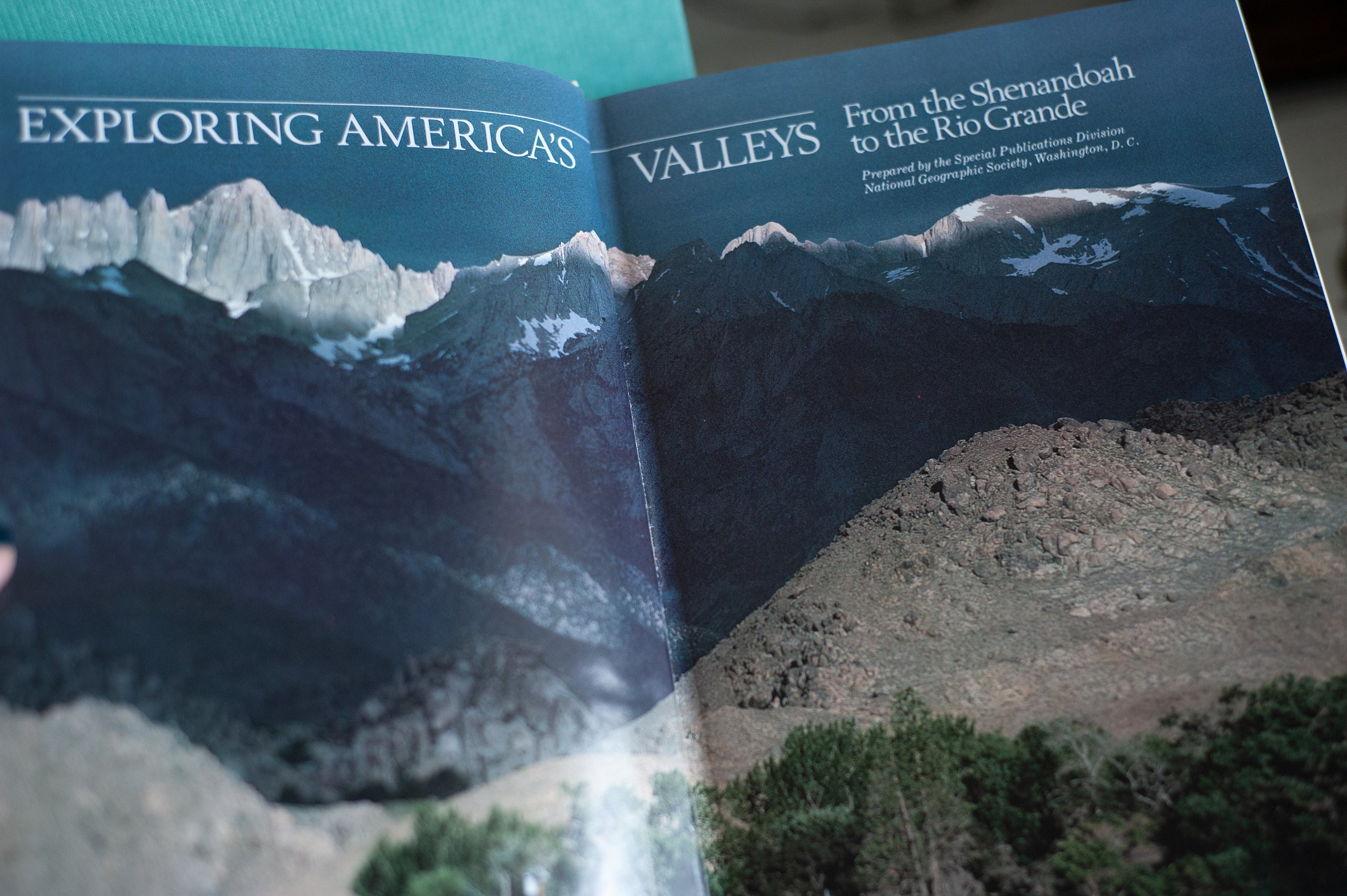 White and Creamy off White Coffee Table Decorator Books Large Etsy