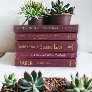 Burgundy Books Stack: Gold & Silver Spines, Home Decor - Set of 5