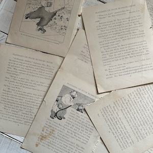 May include: Black and white illustrations of a bear family playing in a creek. The illustrations are from a children's book titled "Playdays on Plum Blossom Creek".