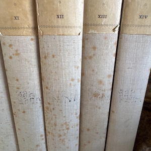 Puede incluir: Primer plano de una colecci&oacute;n de libros antiguos. Las lomos son de color blanquecino con t&iacute;tulos y n&uacute;meros impresos en negro. Los libros muestran signos de edad con decoloraci&oacute;n y manchas. Los t&iacute;tulos incluyen "Crichton and Other Plays" y "Woman Knows and Other Plays".