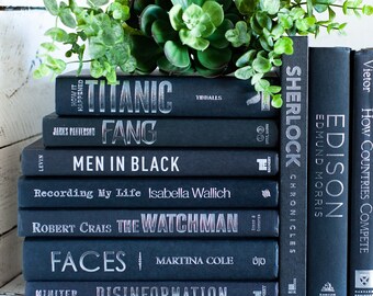 Black & Silver Book Bundle: Modern Home Decor Staging Books