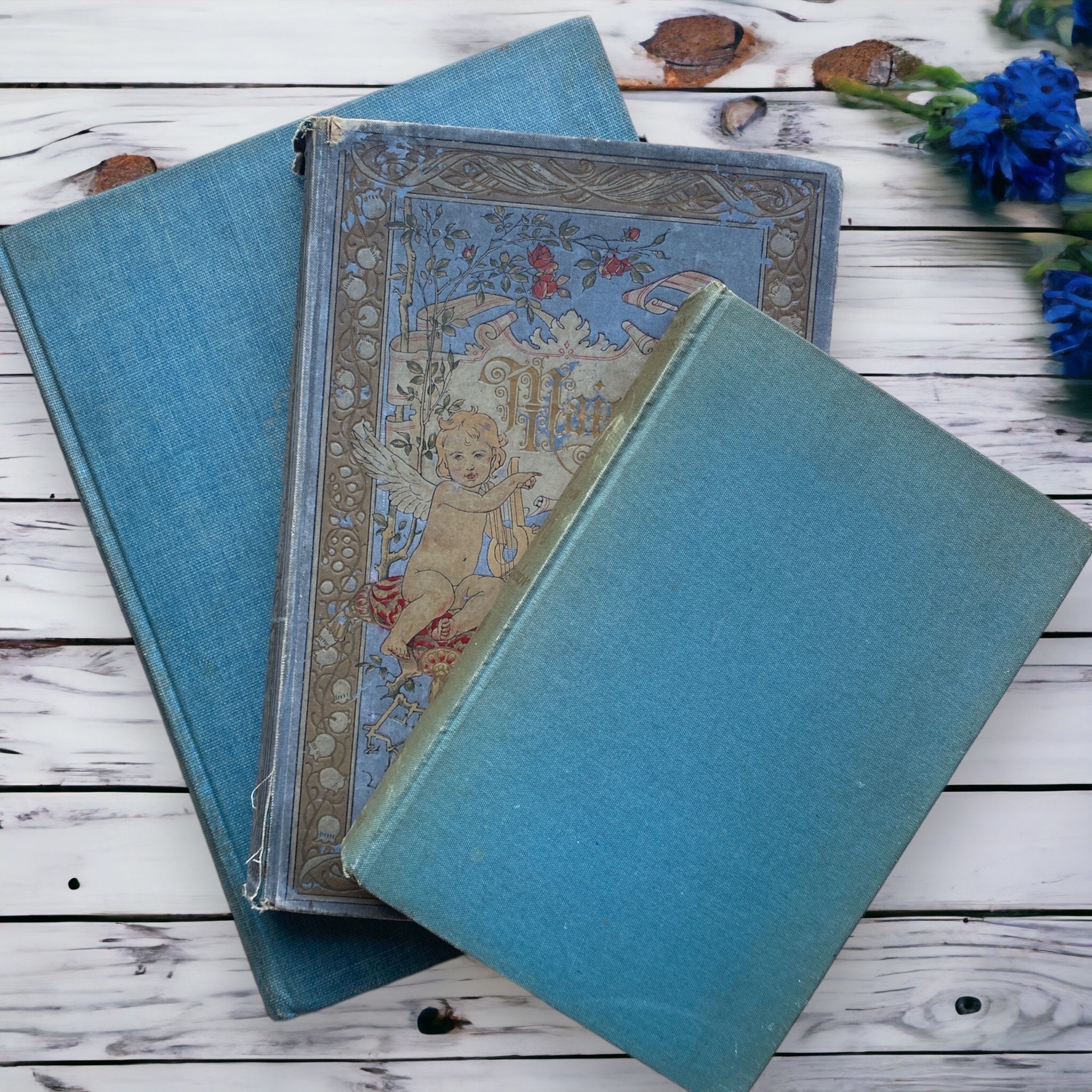 Old Open Book Antique Shabby Blank Pages Digital Photo Image Instant  Download 