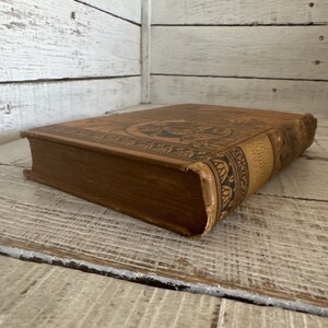 Eight Years In Ceylon Von Samuel Baker - Englisches Buch