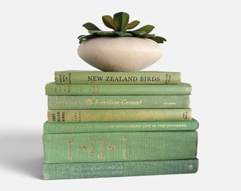 May include: A stack of six green books with gold lettering on the spines, including titles such as New Zealand Birds, Familiar Ground, and Married Friends. A beige, rounded ceramic planter containing a green succulent sits on top of the books.