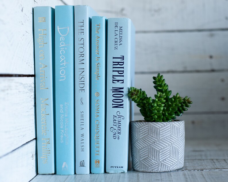 Blue Books, Light Blue Book Stack, Coastal Home Decor, Beachy Interior Decorating Home Staging Books, Books by Color, Beach House Decor image 3