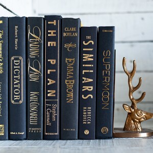Puede incluir: Un conjunto de libros negros con letras doradas, apilados sobre una superficie de madera blanca. Los libros est&aacute;n dispuestos en fila, con un sujetalibros de ciervo dorado en el lado derecho. Los t&iacute;tulos de los libros son "The Samurai's Wife", "Dictator", "Leading Lady", "The Plan", "Emma Brown", "Similars", y "Supermoon".