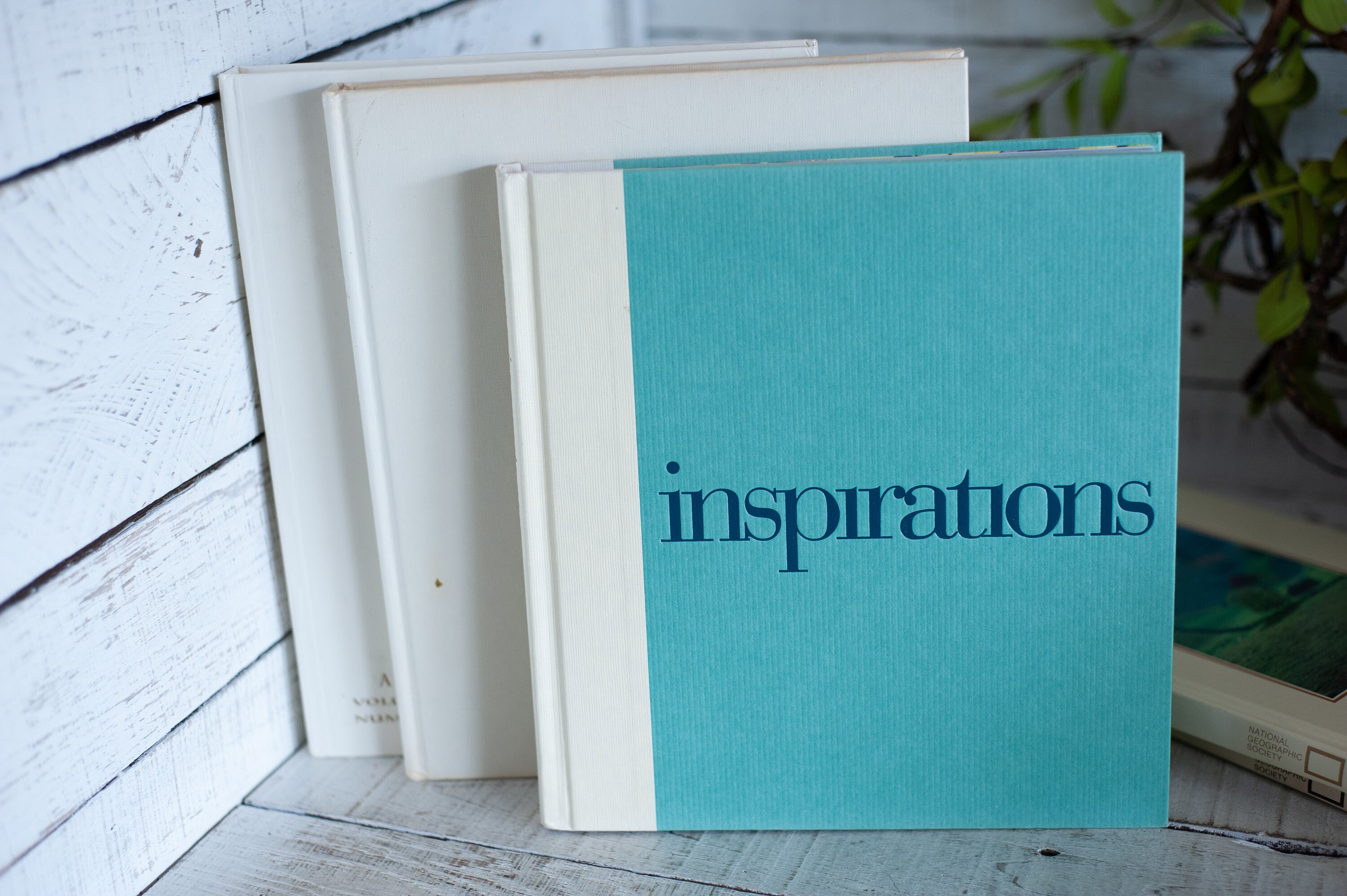 White and Creamy off White Coffee Table Decorator Books Large Etsy