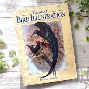 The Art of Bird Illustration by Maureen Lambourbe, Large Bird Book, Nature Coffee Table Book, Bird Illustration Art, Bird Illustrator Book
