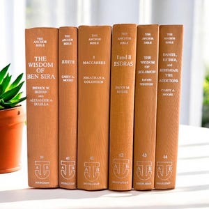 The Anchor Bible Books Set of 6, Bible Commentary, Bible Study Books, Vintage Orange Books, Religious Shelf Decor, Vintage Bible Collection