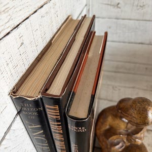 Vintage Black Decorator Books, Art History, Architecture Collection (Set of 3) image 4
