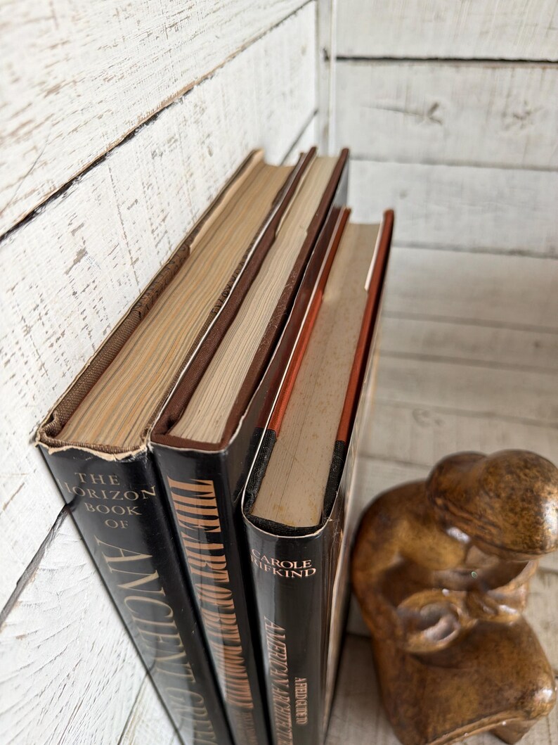 Vintage Black Decorator Books, Art History, Architecture Collection (Set of 3) image 4