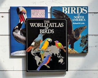 Vintage Bird Books Set, Ornithology Decor, Coffee Table Stack (3 Books)