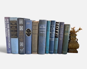 May include: A collection of eleven vintage books with blue, grey, and teal spines arranged in a row, accompanied by a small, ornate bronze-toned decorative vase containing dried plant stems on the far right side of the shelf.