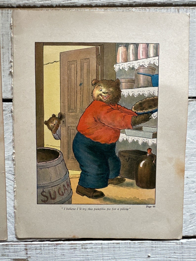 May include: An illustration of a brown bear holding a pumpkin pie in a kitchen. The bear is wearing a red shirt and blue pants. The bear is looking at the pie with a smile. The text "I believe I'll try this pumpkin pie for a pillow" is written below the image.
