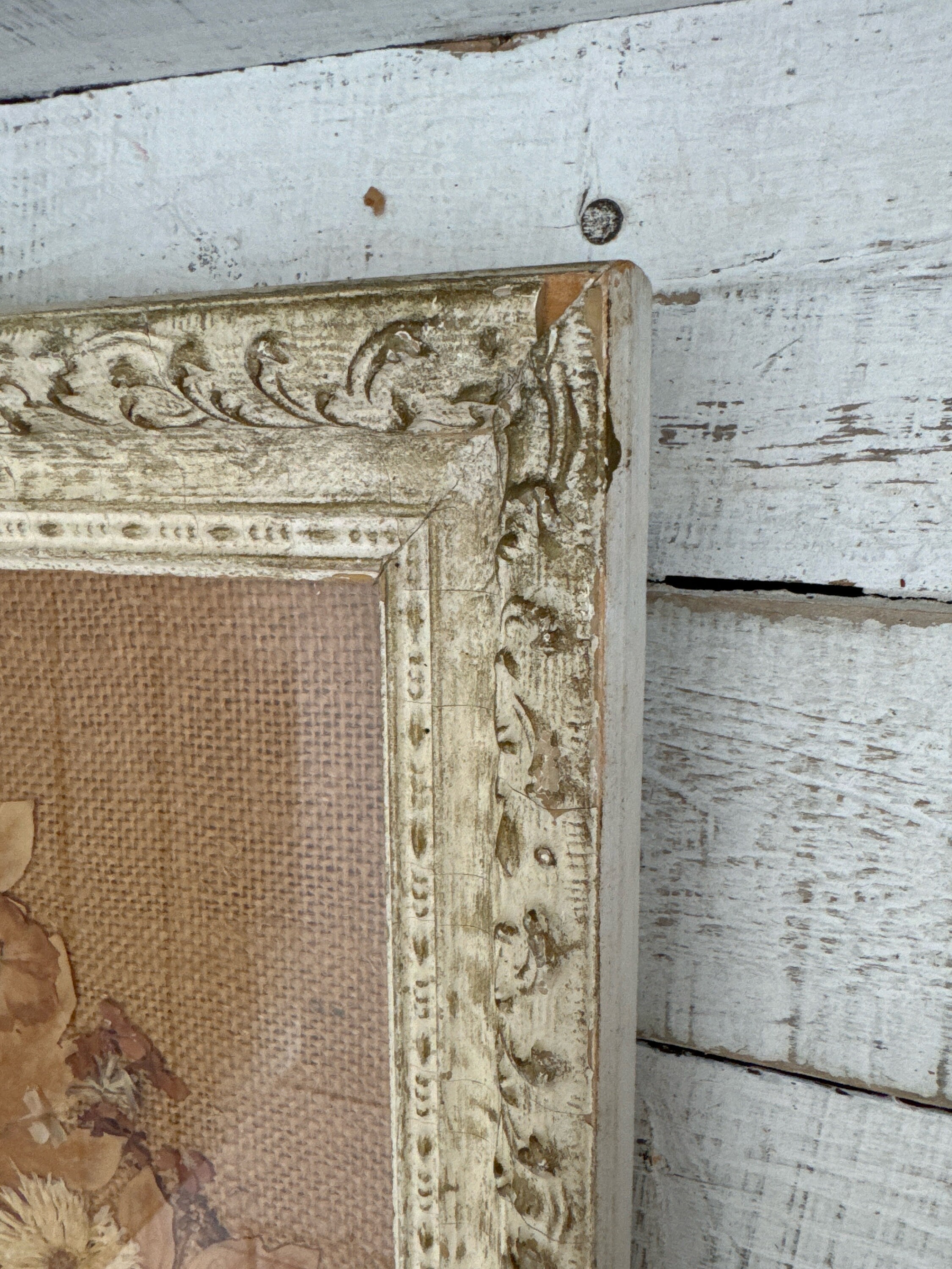 Dried Flower Decor And Pressed Flowers Of Botanical