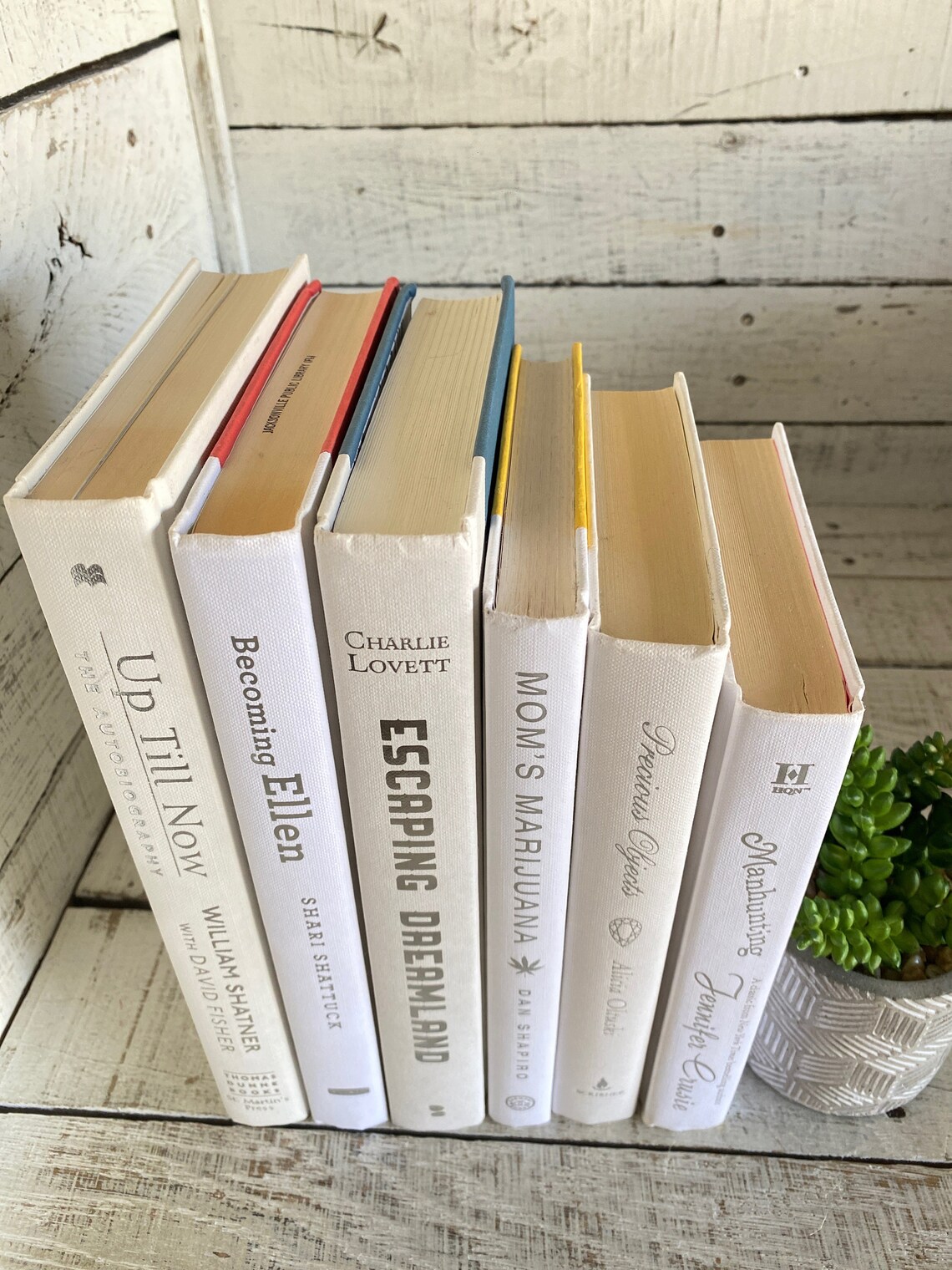 Photo inspiration: Visual Reference: White Decorative Book Set Modern Home Staging Books Silver Lettering