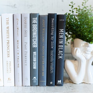 Black Book Stack: Modern Home Decor Books by Color image 5