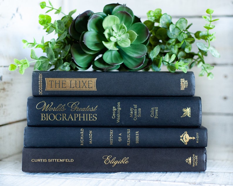 Black Book Stack: Modern Home Decor Books by Color image 4