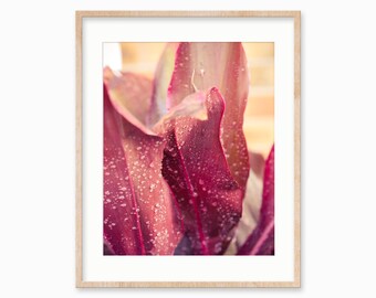 Botany Print Digital Photo - Plant Picture