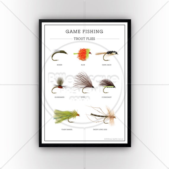 Trout Flies Poster Print Game Fishing Fly Fishing Coarse Etsy