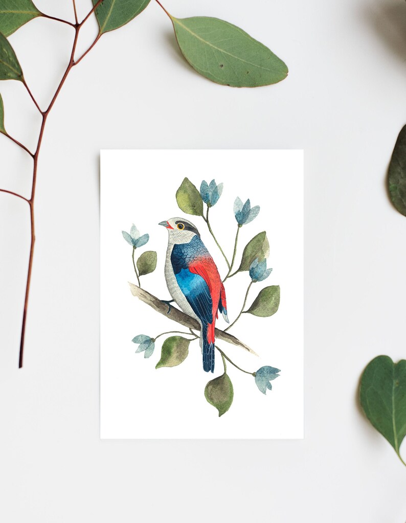 Bird Artwork Print Blue Bird Art Print Bird Wall Decor Bird Etsy