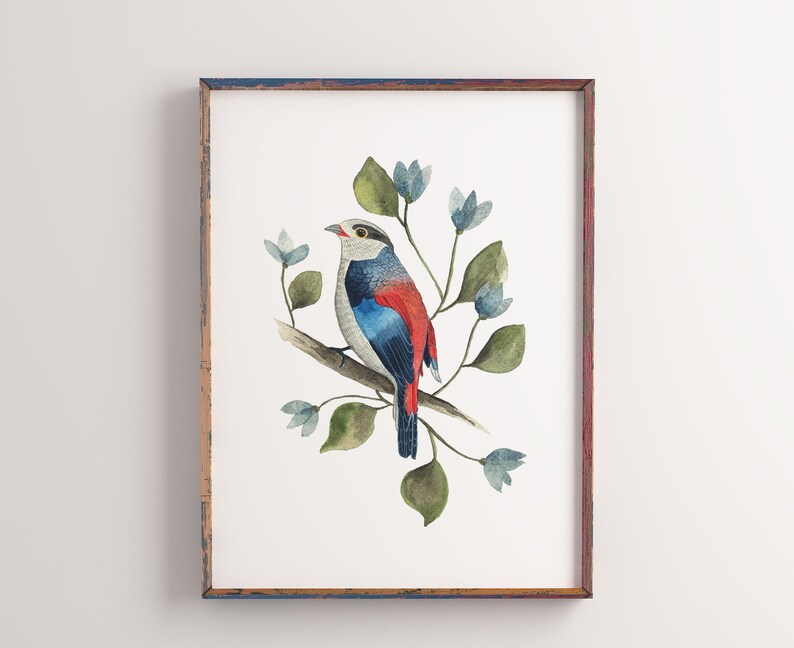 Bird Artwork Print Blue Bird Art Print Bird Wall Decor Bird Etsy