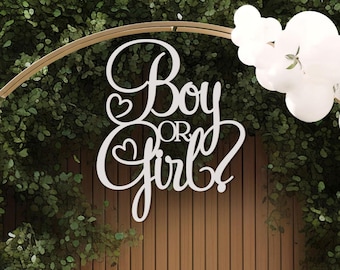 Unique Wooden Gender Reveal Sign for Boy or Girl Party Backdrop Decor Ornament
