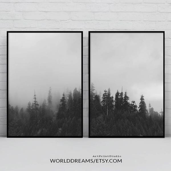 2 Piece Forest Printable, Forest Art, Black and White Forest, modern Minimalist,Trees,best selling item, Nature Photography Prints Set