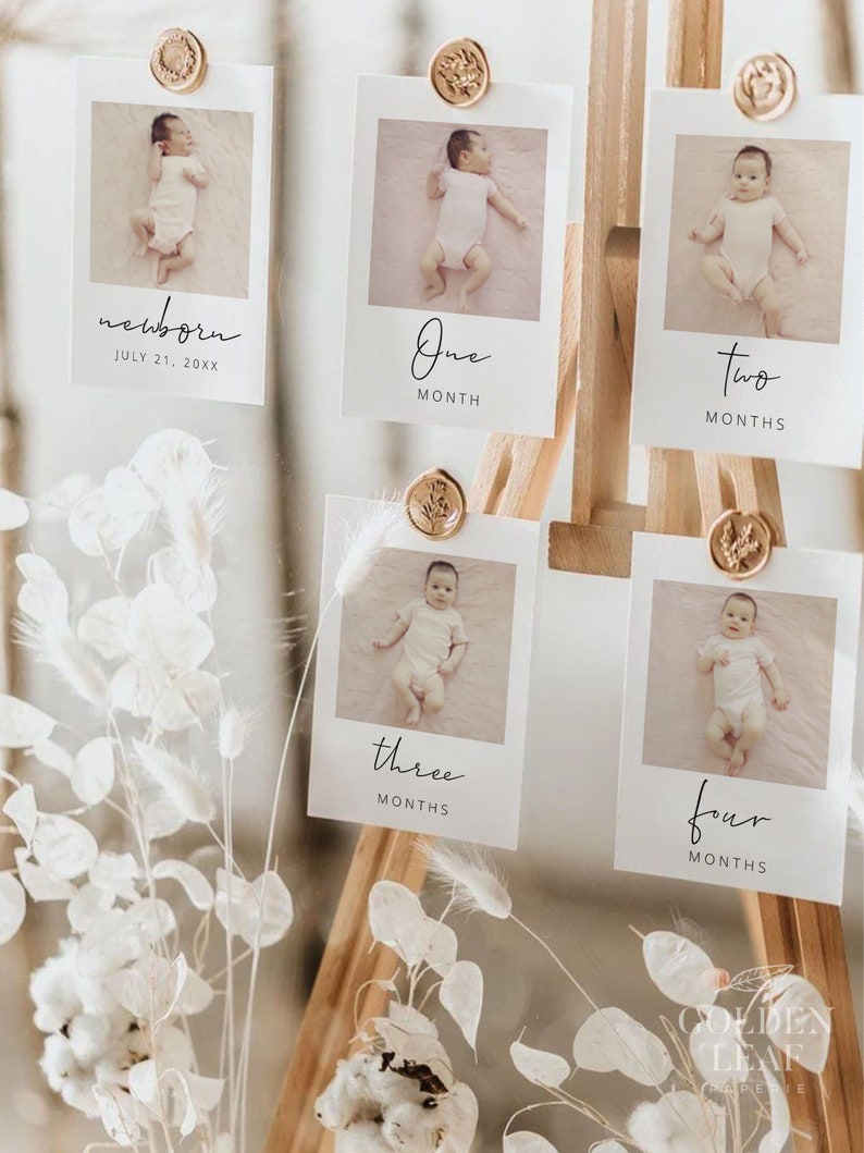 May include: Five white photo cards with gold wax seals on a wooden easel. Each card features a baby in a white onesie and a caption with the baby's age in months. The captions read 'newborn', 'one month', 'two months', 'three months', and 'four months'. The cards are displayed against a white background with dried flowers.