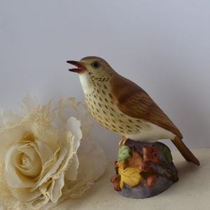 Royal Worcester Beautiful Thrush Bird Figurine Bone China #3234 Made in England