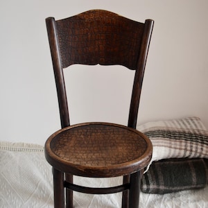 Vintage Thonet Poland Bentwood Chair - Carved Faux Crocodile
