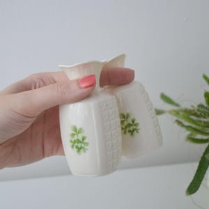 Puede incluir: Dos pequeños jarrones de cerámica blanquecina con un diseño floral. Los jarrones tienen un patrón texturizado y un motivo floral verde. Los jarrones se sostienen en una mano, con una planta en el fondo.