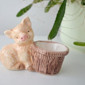 May include: A ceramic pig planter in shades of peach and brown. The pig is seated, with a small, open container attached. The container has a textured, wood-like appearance. The pig has a pink snout and small black eyes. A light green plant is in the background.