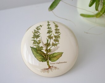 May include: A round, off-white ceramic lid featuring a botanical illustration of a plant with green leaves and flowering stalks. The plant's roots are visible. The text "Rumex conglomeratus" is printed on the lid.